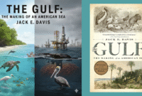The Gulf: The Making of an American Sea, Menyelami Kisah Epik Lingkungan Teluk Meksiko Karya Jack E. Davis