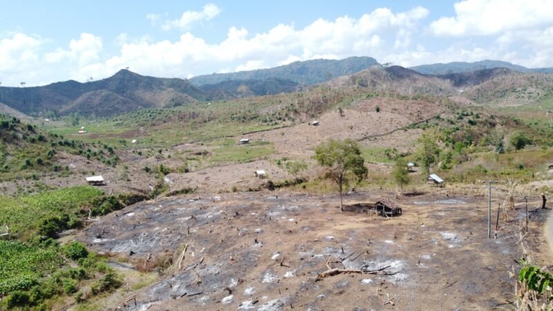 Potret hutan di wilayah Desa Saneo, Kabupaten Dompu. Alih fungsi hutan menjadi pertanian jagung, mengalami peningkatan beberapa dekade terakhir oleh suku Mbojo yang mendiami Bima maupun Dompu. Foto: Fudin/LPW NTB