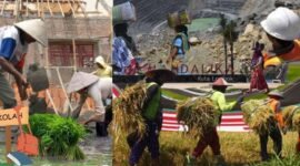 Potret Tenaga Kerja NTB, Dominasi Lulusan SD dan Peta Status Pekerjaan