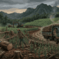 Ilustrasi : Illegal Logging di Bima, Antara Ancaman Hukum dan Realita Lapangan