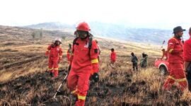 Kebakaran Kawasan Savana  Cagar Biosfer UNESCO di Taman Nasional Tambora Seluas 1.956 Hektare, Kamis, 9 Juli 2026 . Foto : Dok. Istimewa.