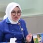 Pasca-Kebakaran Desa Adat Sade, Evi Apita Maya Tekankan Pemulihan Ekosistem Ekonomi Lokal. Foto: Dok. Istimewa