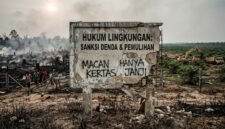 Sanksi Denda dan Pemulihan Lingkungan di Indonesia Hanya Jadi Macan Kertas. Foto: Ilustrasi Gemini AI